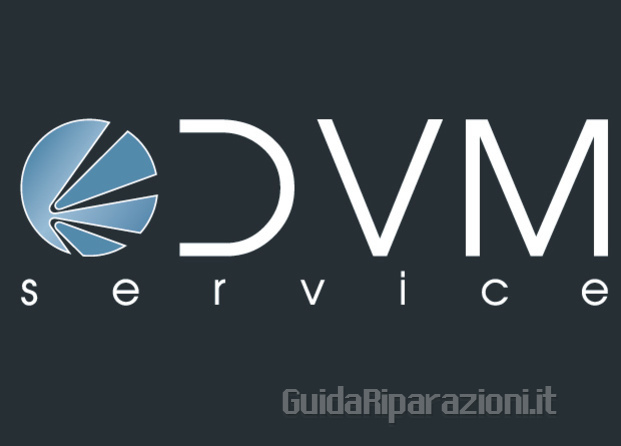 logo-dvm-service