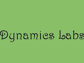 Dynamics Labs